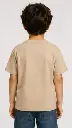 12637.webp